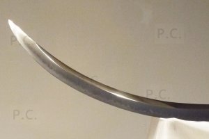 błyszczący czubek miecza