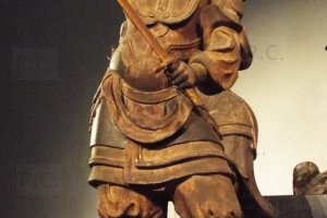 DSCF5007 (Kopiowanie).JPG