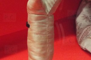 DSCF5128 (Kopiowanie).JPG