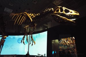 DSCF5412 (Kopiowanie).JPG