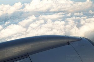 DSCF4595 (Kopiowanie).JPG