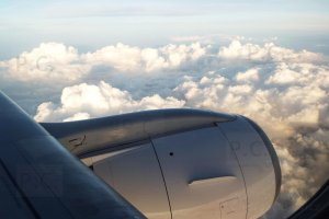 DSCF4593 (Kopiowanie).JPG