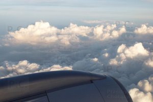 DSCF4592 (Kopiowanie).JPG