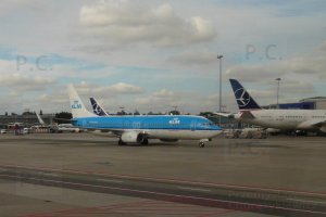 P1180726 (Kopiowanie).JPG