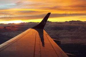 sun reflection wing colour