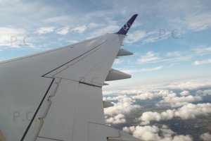 DSCF5604 (Kopiowanie).JPG