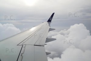 DSCF5632 (Kopiowanie).JPG