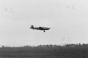 Negative6-39-05(1) (Kopiowanie).jpg