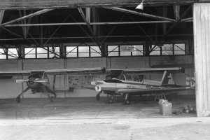 Negative1-10-04(1) (Kopiowanie).jpg