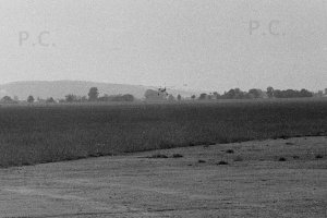 Negative6-38-04(1) (Kopiowanie).jpg