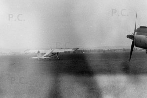 Negative5-33-06(1) (Kopiowanie).jpg