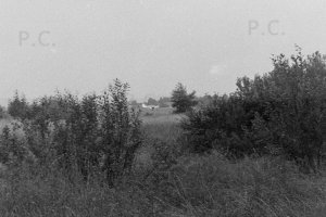 Negative5-31-03(1) (Kopiowanie).jpg
