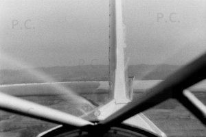 Negative2-16-03(1) (Kopiowanie).jpg