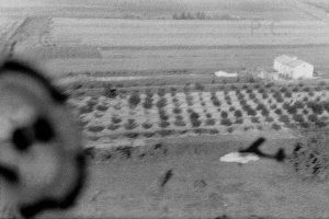 Negative3-25-06(1) (Kopiowanie).jpg