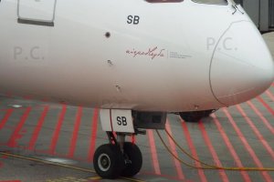 szczegóły Boeing B 787 Dreamliner PLL LOT lotnisko Chopina.JPG