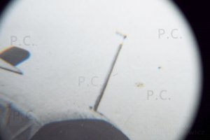 higherthanjumbojets.pl Przemyslaw Chorazykiewicz junkers f-13 flugzeug polen.JPG