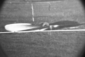 higherthanjumbojets.pl old propeller Przemyslaw Chorazykiewicz stare śmigło.JPG