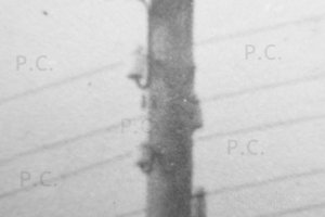 lotnisko historia elektryka izolator higherthanjumbojets.pl Przemyslaw Chorazykiewicz.JPG