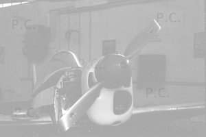 zlin katowice muchowiec