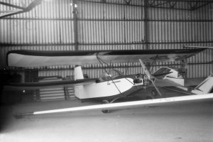 Katowice Pchła Prząśniczka higherthanjumbojets.pl fot. P. Chorążykiewicz