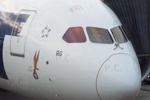 odznaka skoczka spadochronowego zwana też gapą na dreamlinerze lot-u.JPG