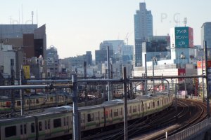 chorążykiewicz miś panda japonia higherthanjumbojets.pl