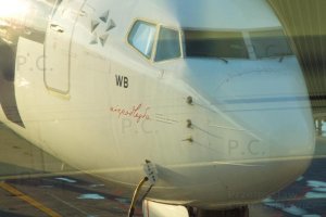 sp-lwb star alliance niepodległa boeing b 737.JPG