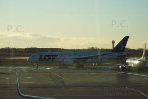 dreamliner sp-lrb kołuje przed kolejnym lotem b 787 taxies before another flight.JPG