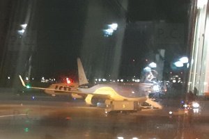 boeing b 787 polish airlines dreamliner (tui).jpg