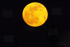 niezwykła pełnia księżyca 19. 02. 2019 przemyśl.JPG