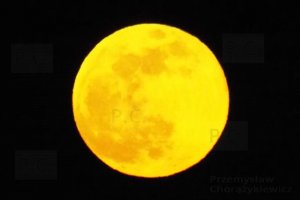 new moon biggest brigtest poland 19. 02. 2019 chorazykiewicz przemysl.JPG