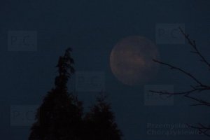 moon goes down over krasiczyn poland photo chorazykiewicz 20. 02. 2019.JPG