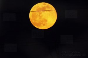 full super moon tree wires poland.JPG