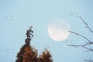 zachód księżyca nad krasiczynem 20. 02. 2019.JPG