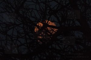 przemysl krasiczyn zachod ksiezyca 20 luty 2019 fotografia lotnictwo.JPG