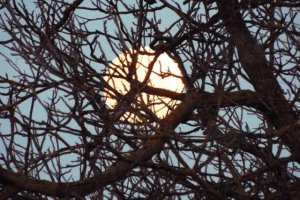 fascinating moon day after full moon 20. 02. 2019 higherthanjumbojets.pl.JPG