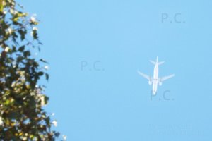 DSCF4790 (Kopiowanie).JPG