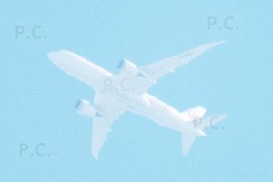 DSCF4610 (Kopiowanie).JPG