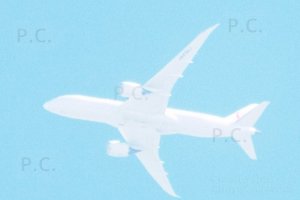 DSCF4611 (Kopiowanie).JPG