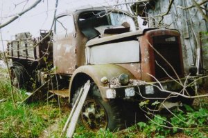abandoned german truck bush.JPG