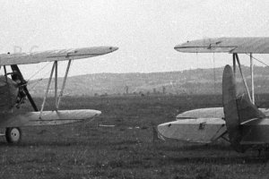 sp-aie samolot historia przemysl siedliska hureczko przyroda.jpg