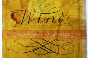 przemyska wytwornia win wino owocowe slodkie stara etykieta.JPG