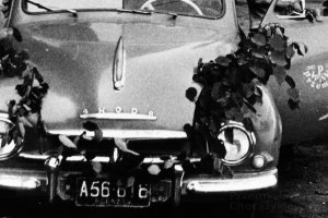 przemysl skoda a56 rzeszow.JPG