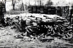 historia przemyśl wino butelka pomona łętownia.JPG