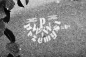 przemyska wytwornia win.JPG