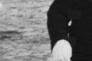 furmanka bruk stare zdjęcie przemyśl rynek.JPG