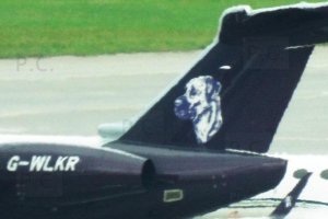 pies dog g-wlkr samolot aircraft.JPG