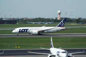 dreamliner grubasek z cienkimi skrzydłami.JPG