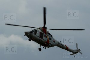 P1000319 (Kopiowanie).jpeg