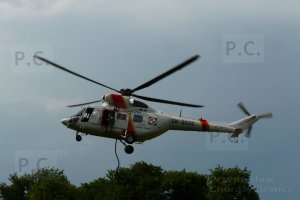 P1000291 (Kopiowanie).JPG